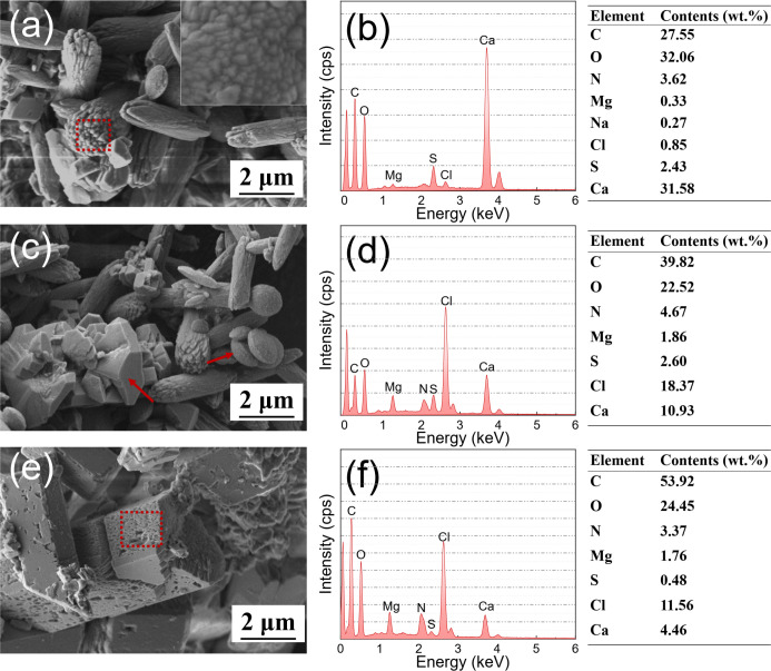 Fig 10