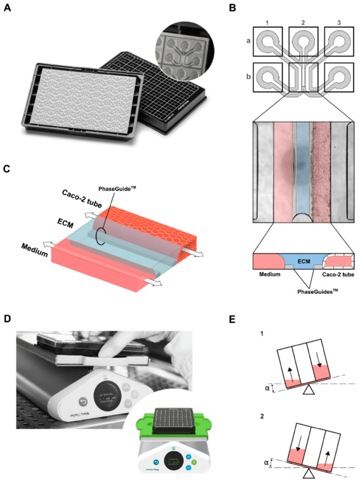 Figure 17