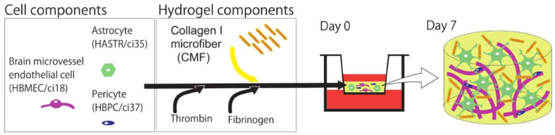 Figure 19