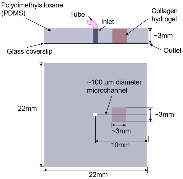 Figure 20