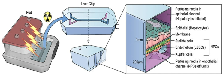 Figure 21