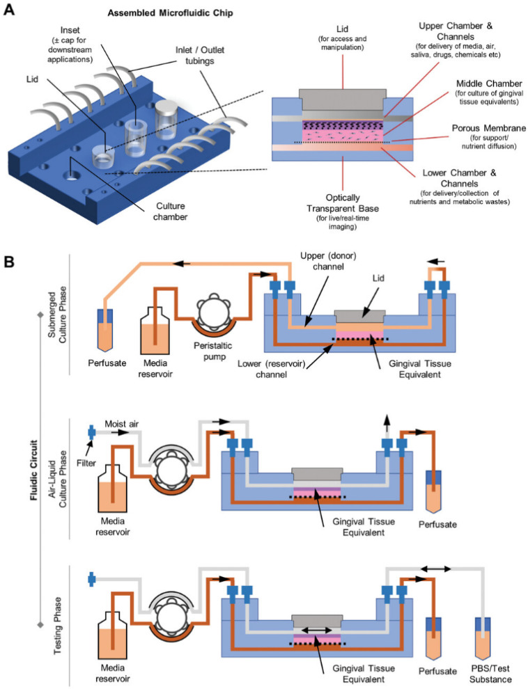 Figure 22