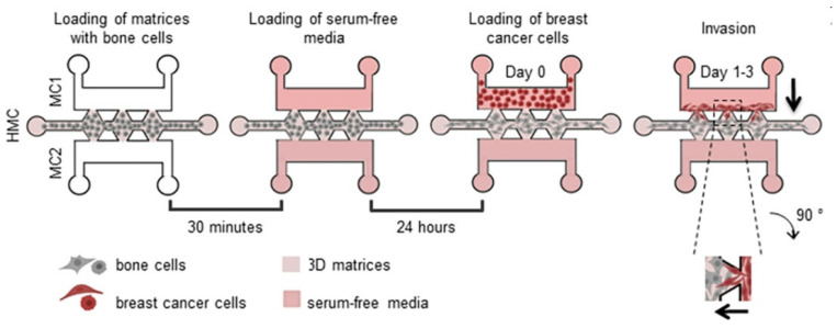 Figure 23