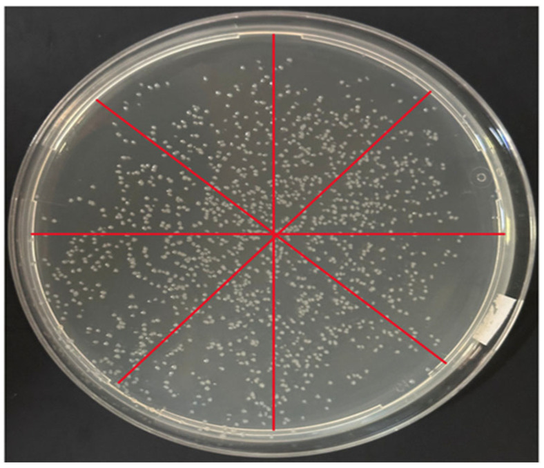 Figure 9