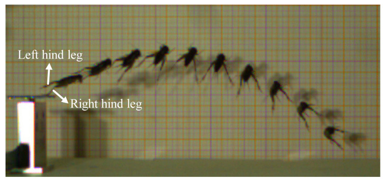 Figure 5