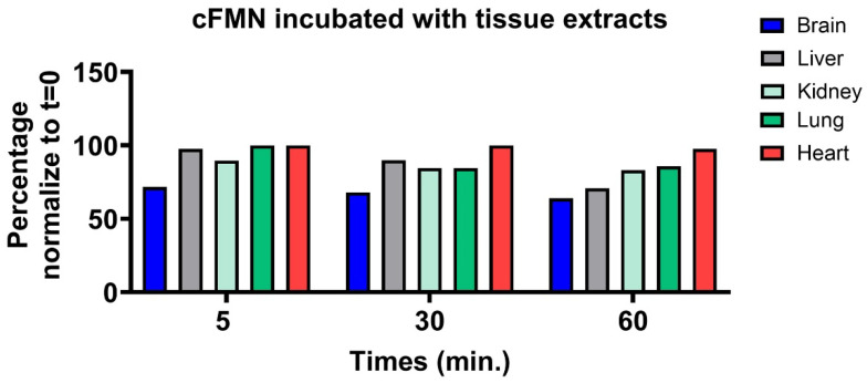 Figure 11