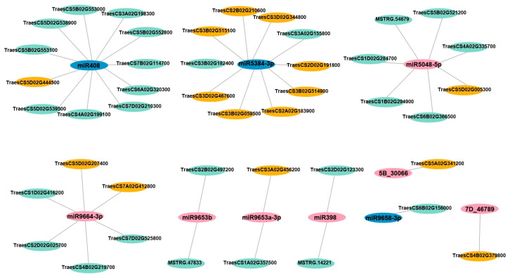 Figure 7