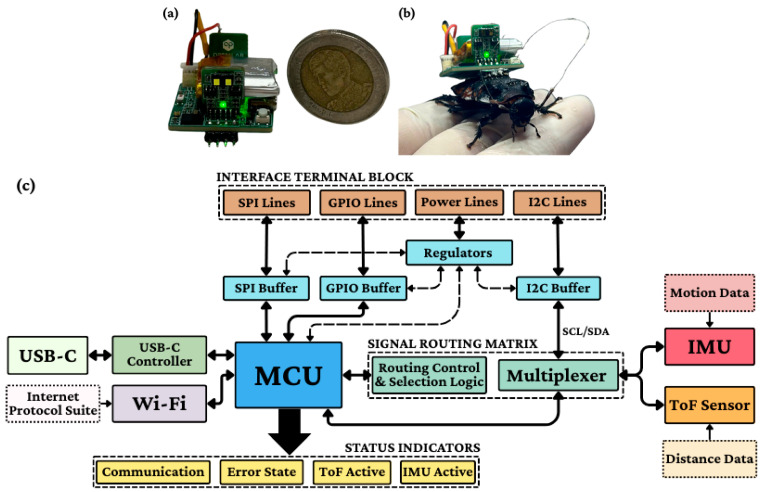 Figure 2