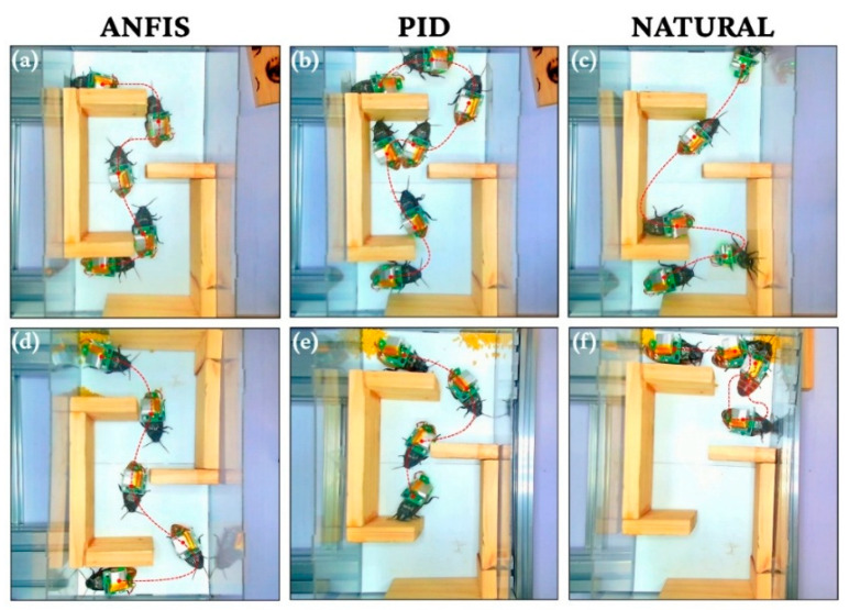 Figure 12