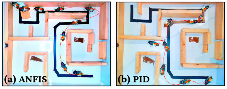Figure 13
