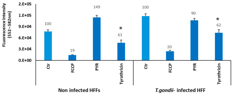 Figure 7