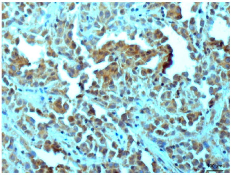 Figure 9