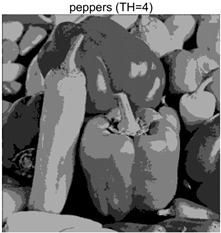 Figure 48