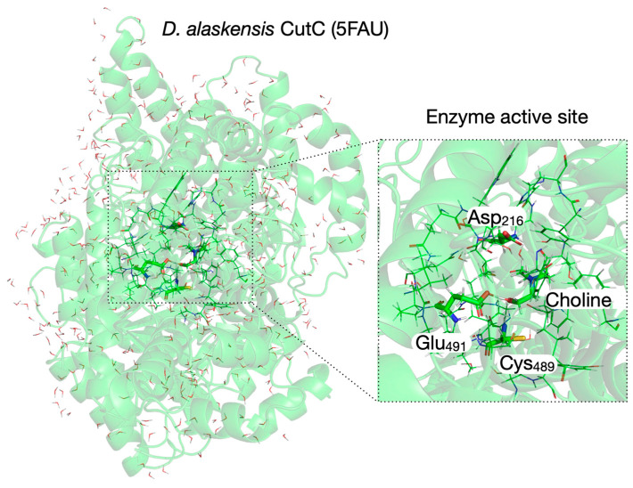 Figure 5