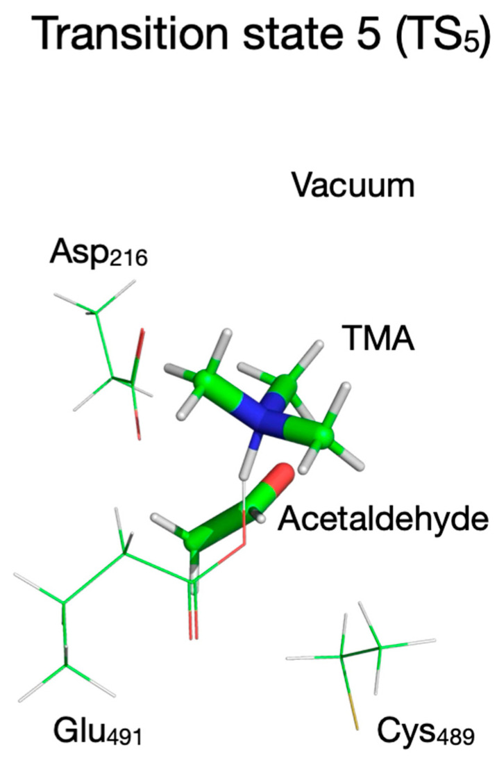 Figure 19