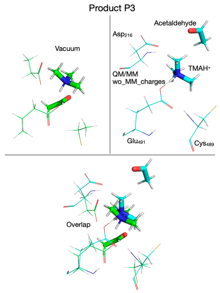 Figure 20