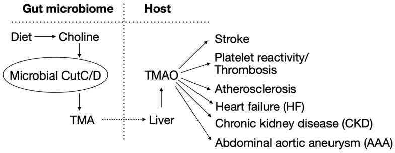 Figure 23