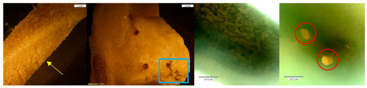 Figure 10