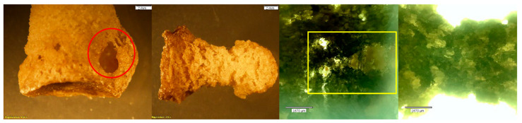 Figure 13