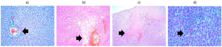 Figure 9
