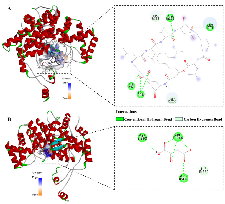 Figure 10