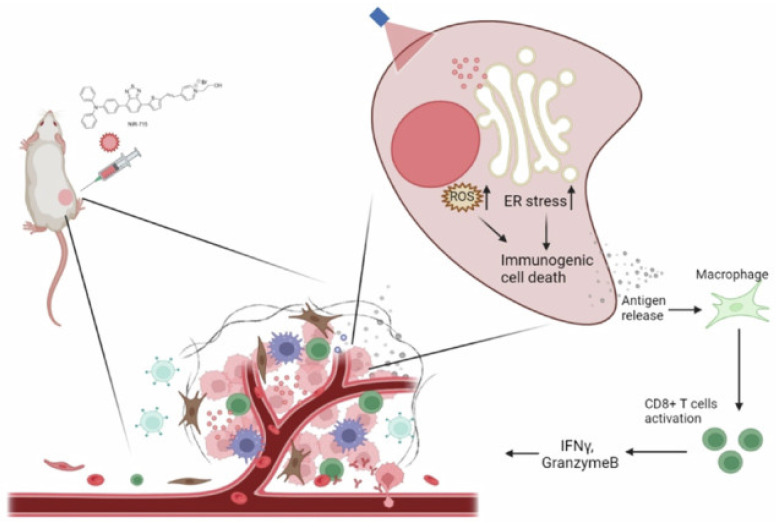 Figure 20