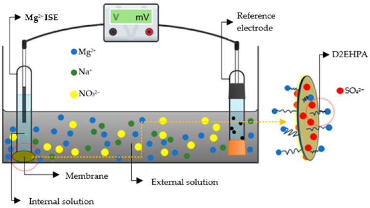 Figure 11