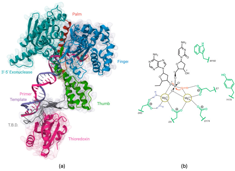 Figure 6