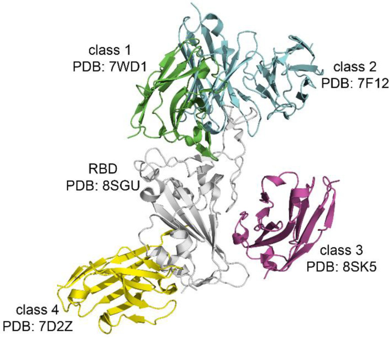 Figure 4