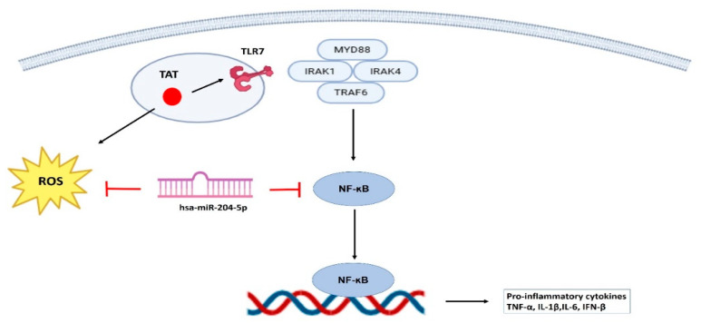 Figure 6
