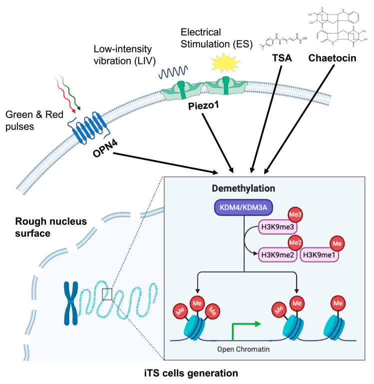 Figure 10