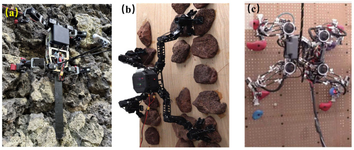 Figure 6