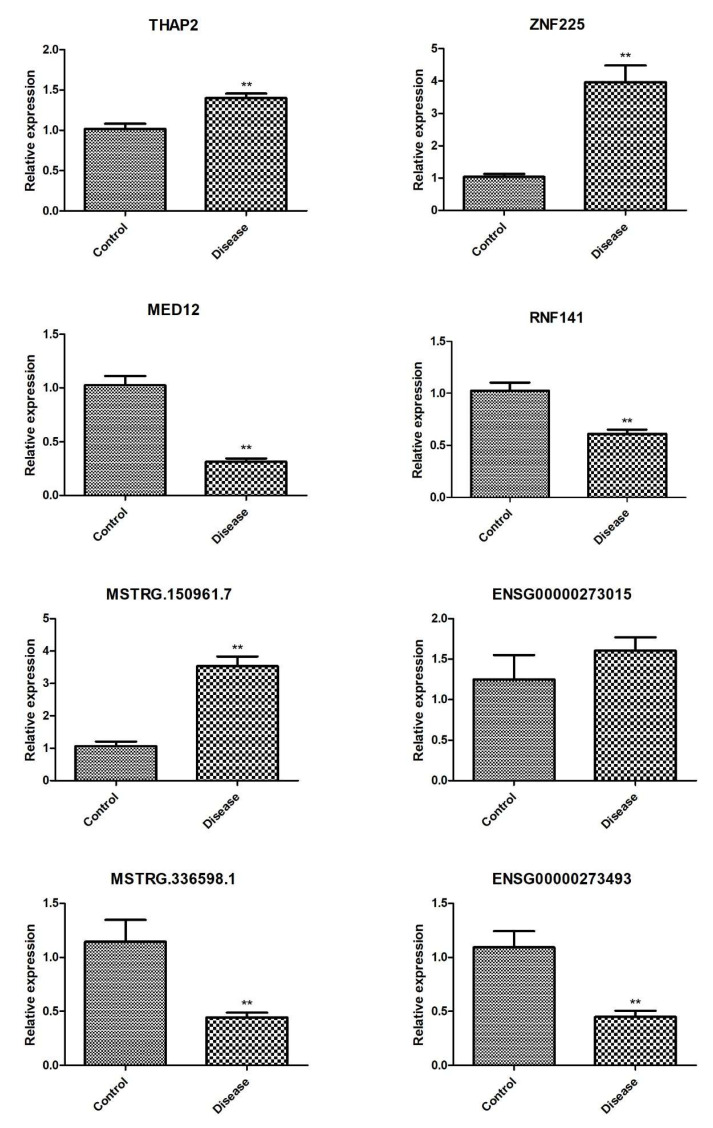 Figure 12