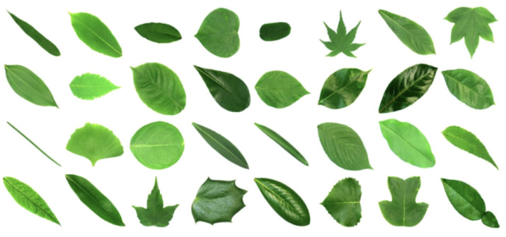 Figure 19