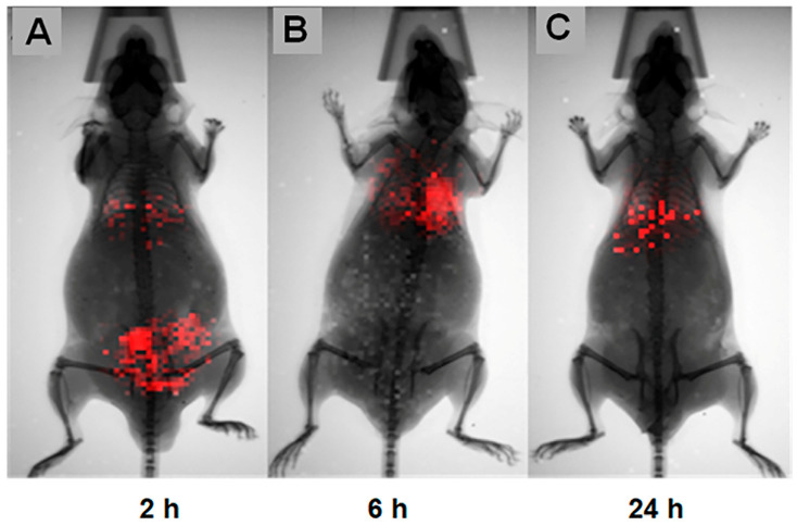 Figure 12