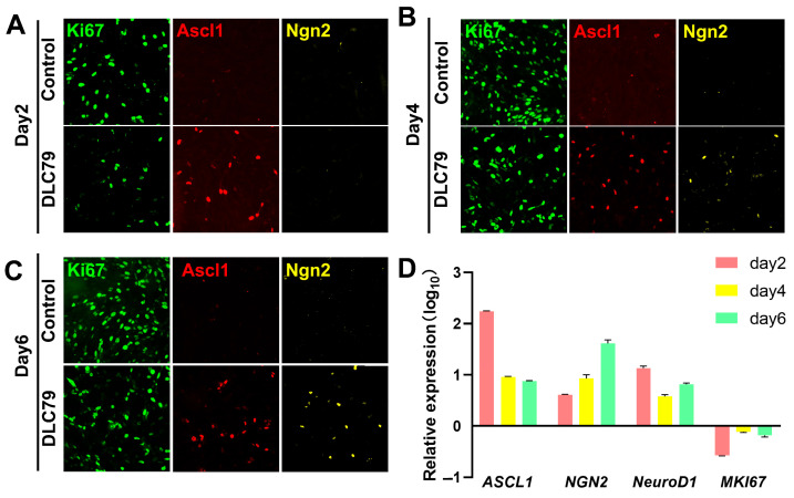Figure 6