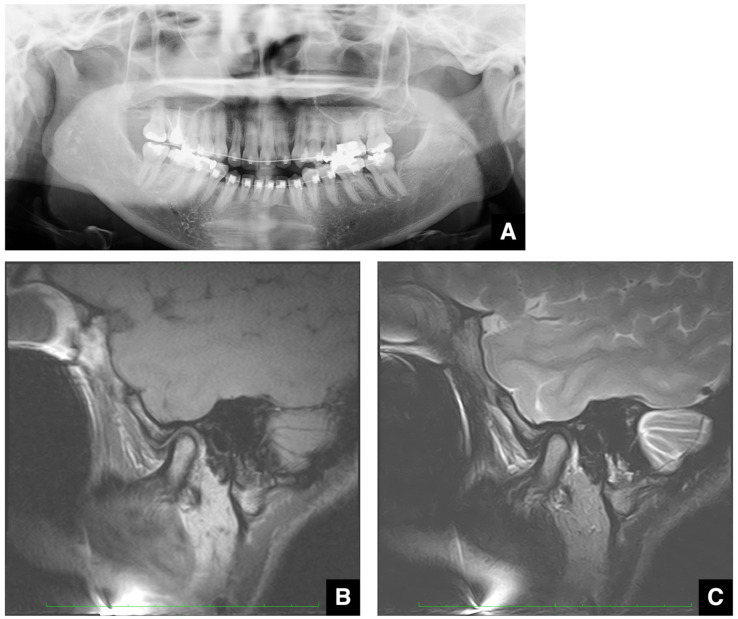 Figure 15