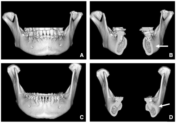 Figure 19