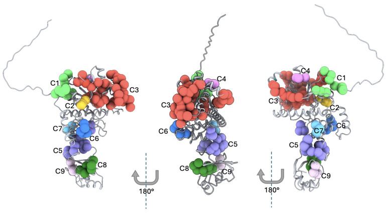 Figure 5