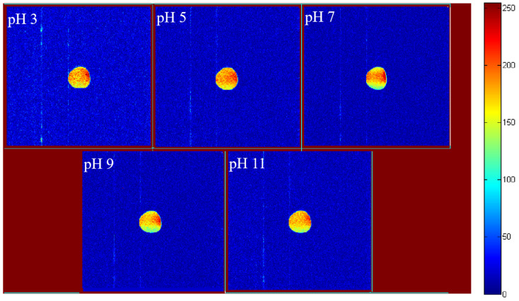 Figure 7