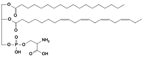 Figure 8
