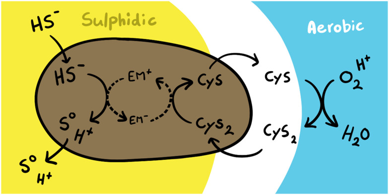 Fig. 9