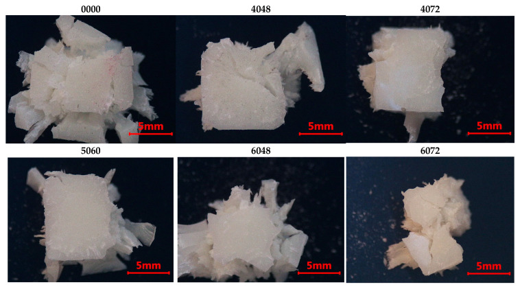 Figure 11
