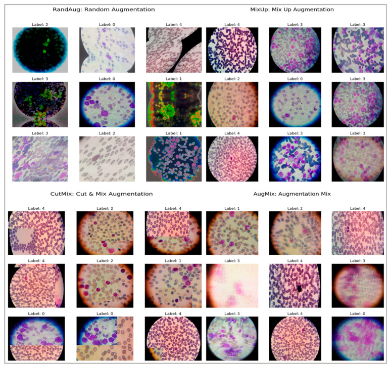 Figure 11