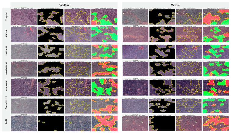 Figure 19
