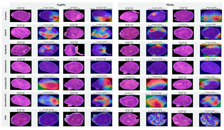 Figure 24