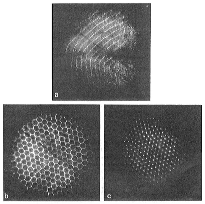 Figure 17