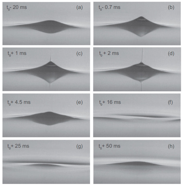 Figure 24