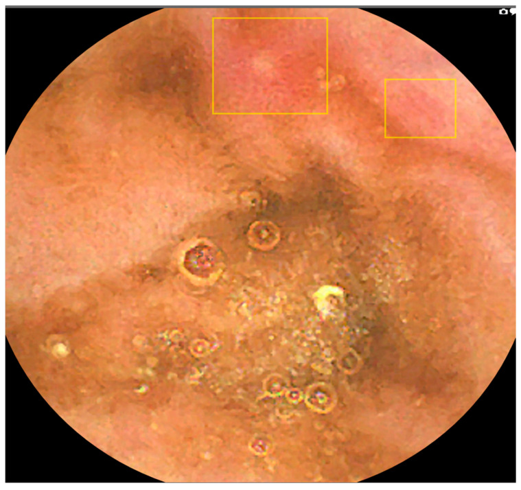 Figure 7