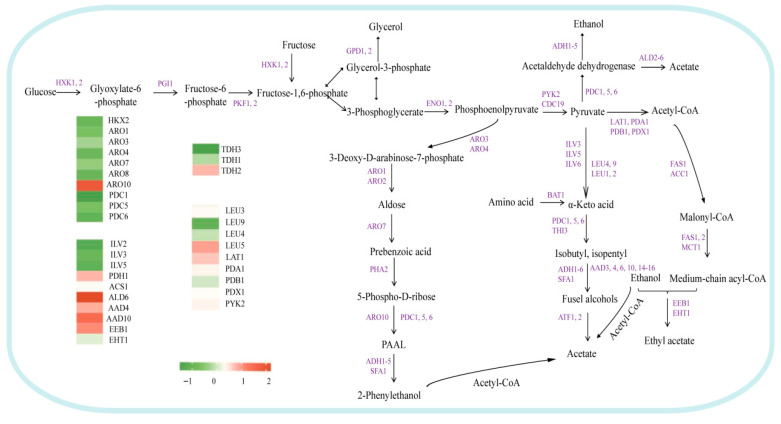 Figure 6